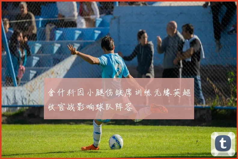舍什科因小腿伤缺席训练无缘英超收官战影响球队阵容